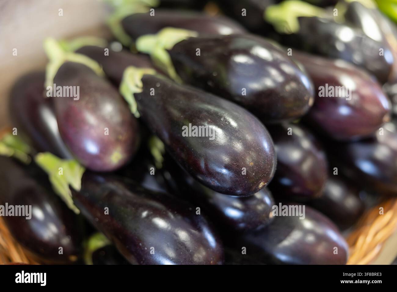 Haufen roher violetter Bio-Auberginen auf der Gemüsetheke Stockfoto