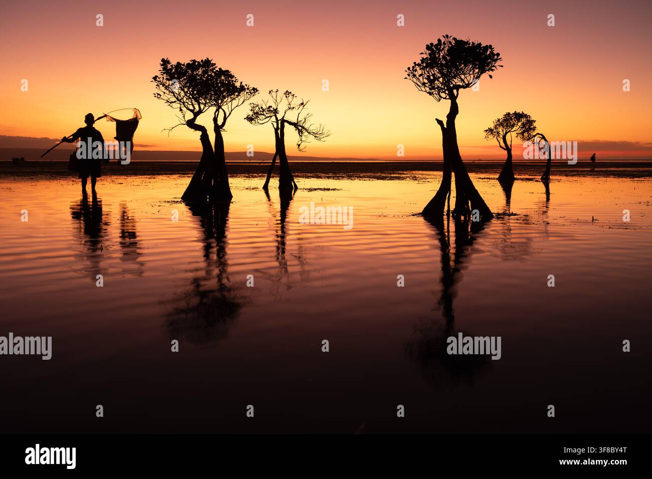 Ansicht der Silhouette einer Person, die bei Sonnenuntergang durch das flache Wasser von Walakiri Beach geht, mit einzigartigen Mangrovenbäumen in Kecamatan Pandawai, N Stockfoto