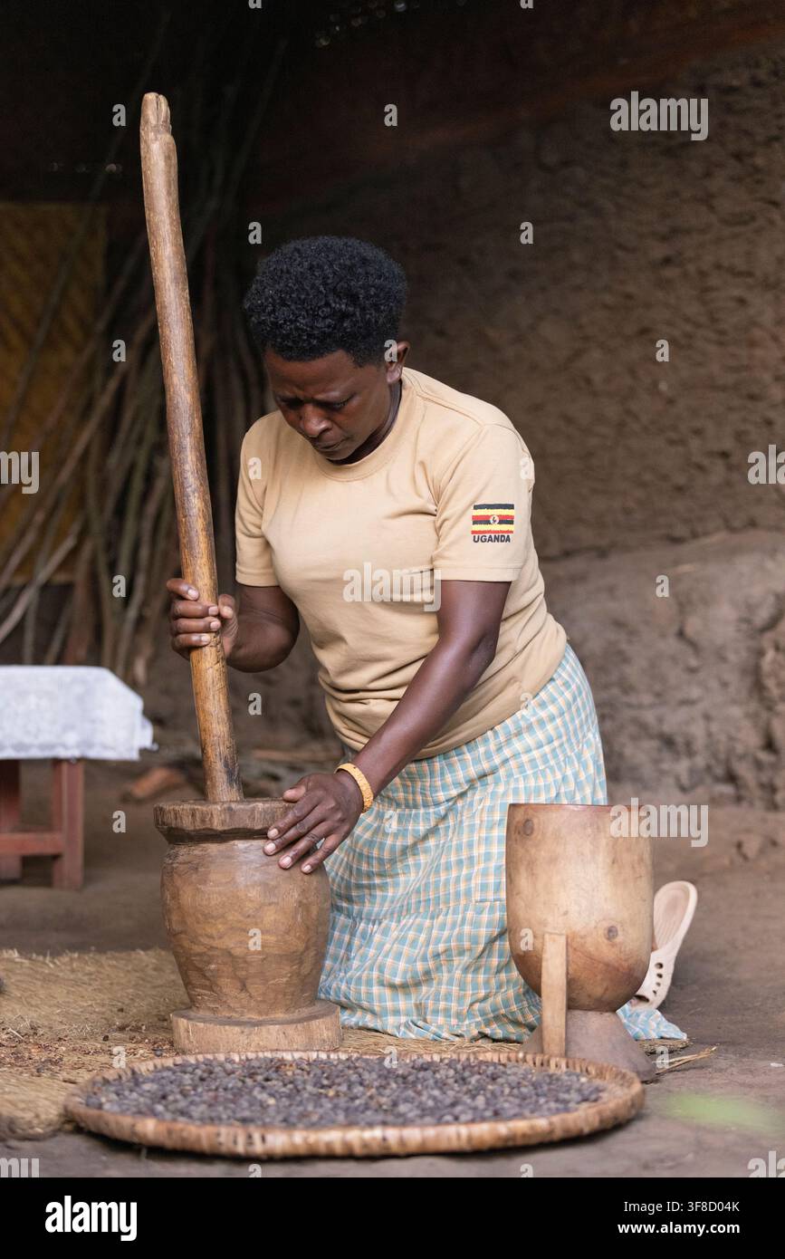 Uganda, 04., Januar, 2026: Afrikanischer traditioneller Kaffeeröstprozess durch lokale Stämme in Bergregionen Stockfoto