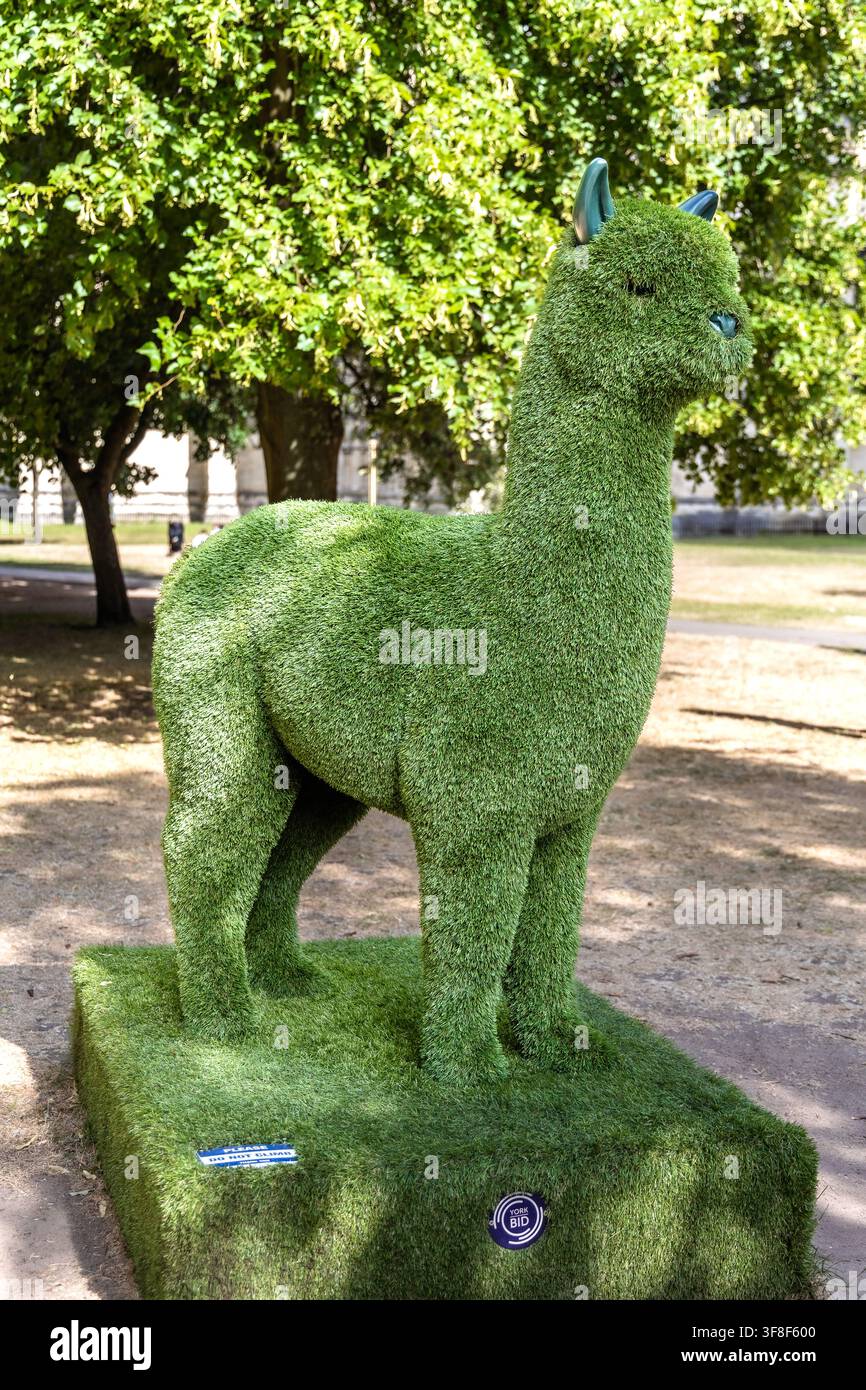 York, England, UK - 18. Juli 2026: Grüner, alpakaförmiger Topiary-Baustil mit York BID-Branding in einem öffentlichen Raum der historischen Stadt York Stockfoto