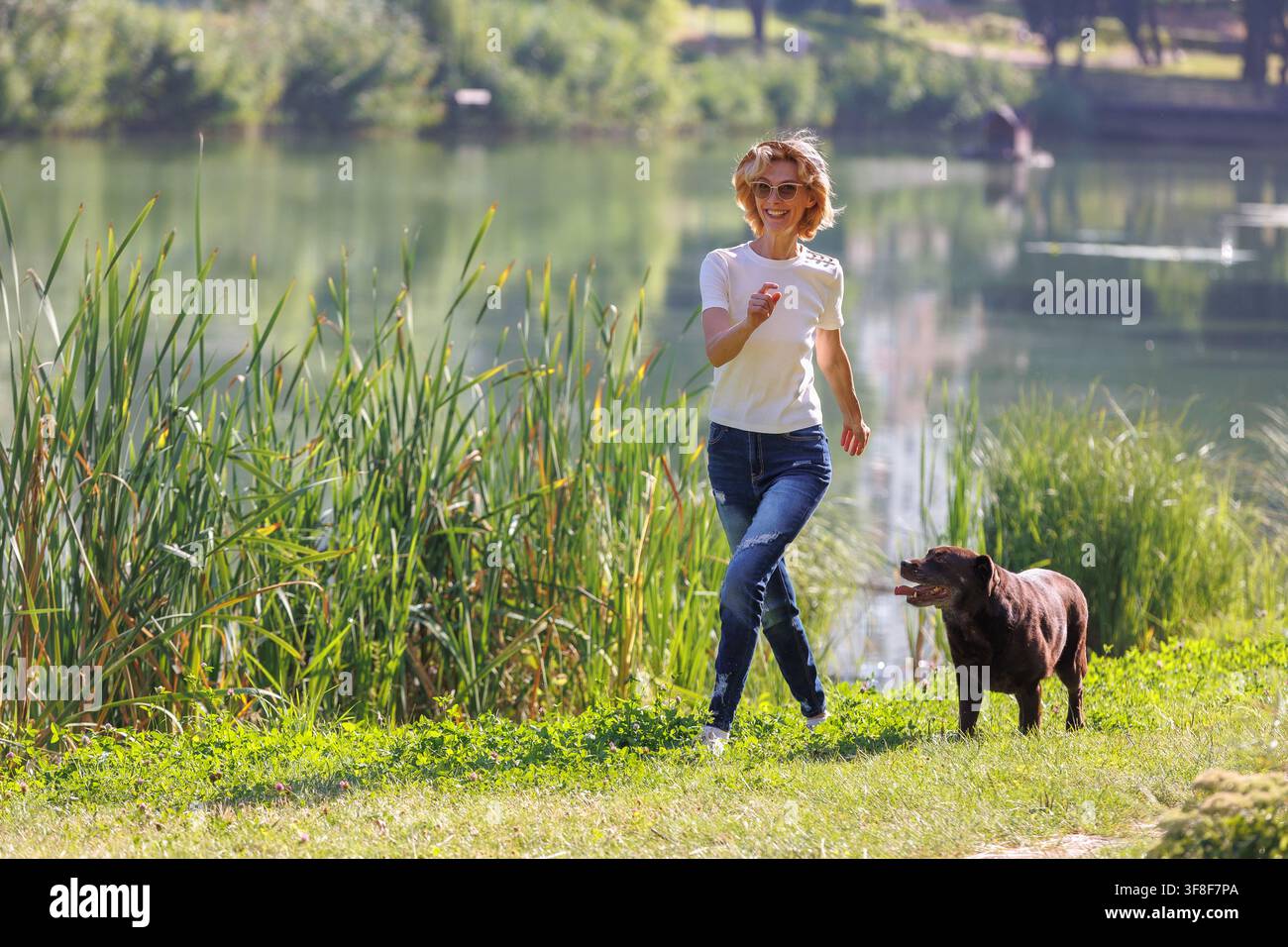 Glückliche Frau läuft mit einem Schokoladen-Labrador-Retriever entlang des malerischen Seeufers, freudvolle Freizeitbeschäftigung im Freien, verspielte Kameradschaft, Sommerlebensstil Stockfoto