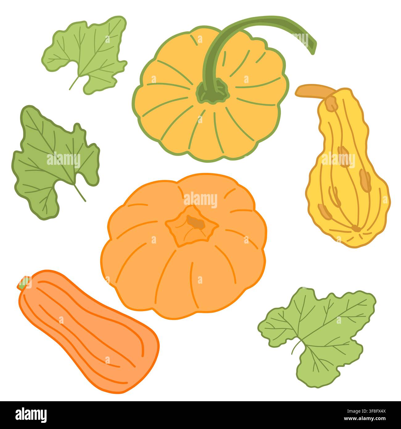 Kürbisse, Butternusskürbis und Kürbisblätter Doodle-Clipart-Set für die Ernte im Herbst. Stock Vektor
