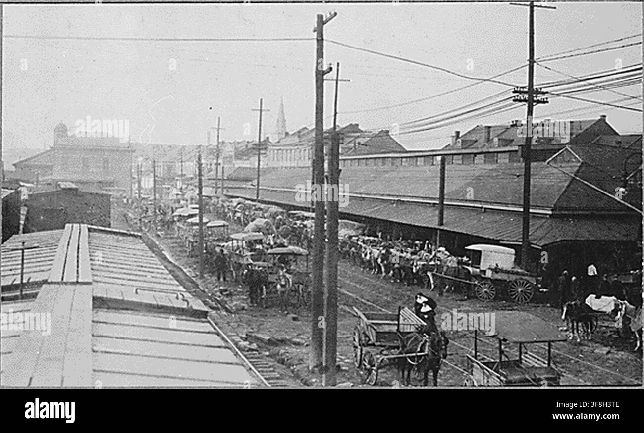Pferdegespanne vor dem French Market in New Orleans, 1915, fotografiert im Rahmen der Aufzeichnungen des Bureau of Agricultural Economics. Stockfoto