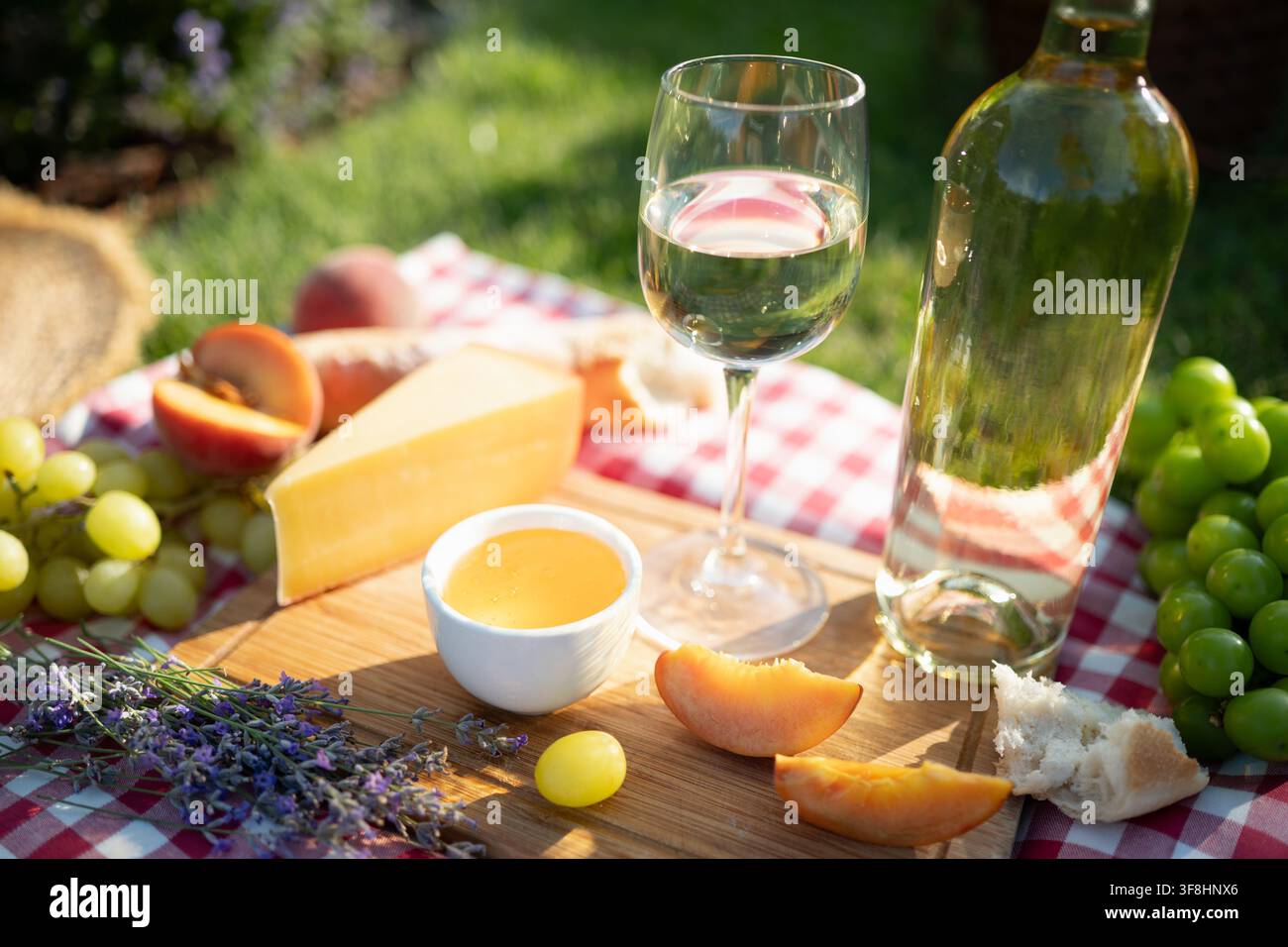 Sommerpicknick mit weißem Wein, Käse, grünen Trauben, Pfirsichen, Honig und Brot auf karierter Decke im sonnigen Garten. Konzept für Essen und Freizeit im Freien Stockfoto