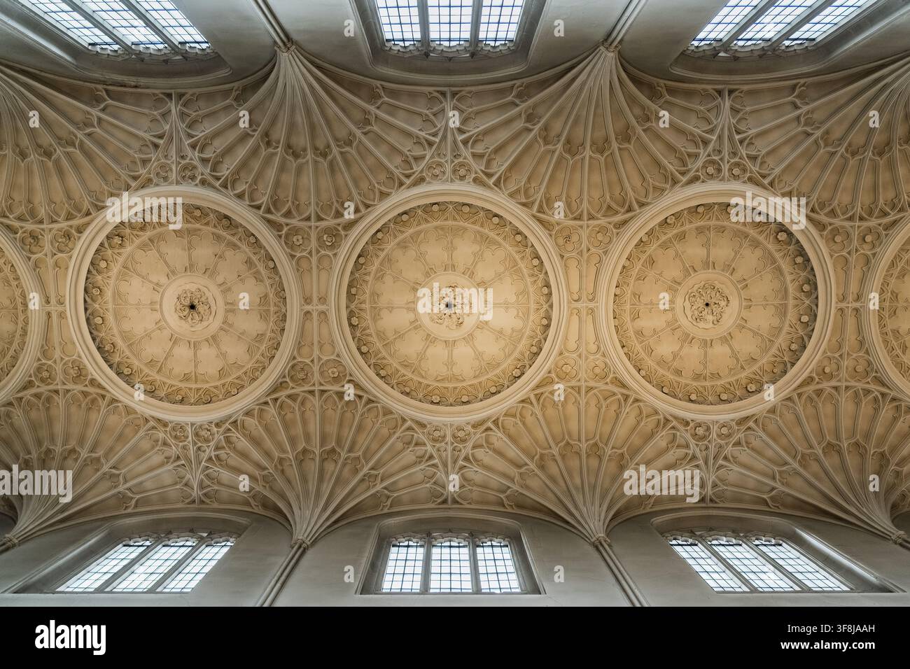 Ansicht der kunstvollen Sterngewölbedecke der King's College Chapel mit detaillierten Steinmetzarbeiten und gotischer Architektur in Cambridge, England, Vereinigtes Königreich Stockfoto