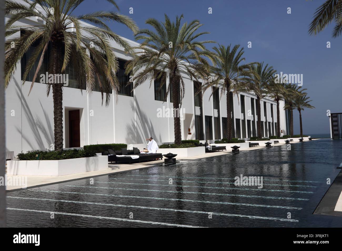 Dattelpalmen-Sonnenseite mit Infinity-Pool und Sonnenliegen im The Chedi Hotel Muscat, Sultanat Oman Stockfoto
