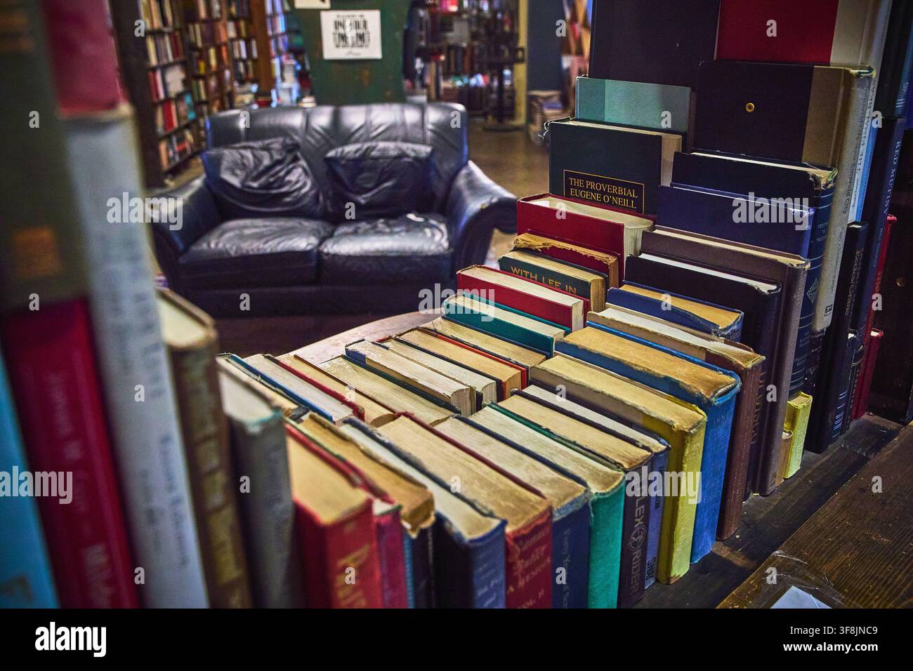 Bücherladen-Interieur mit Vintage-Büchern und Ledersofa in einer gemütlichen Umgebung in Los Angeles Stockfoto