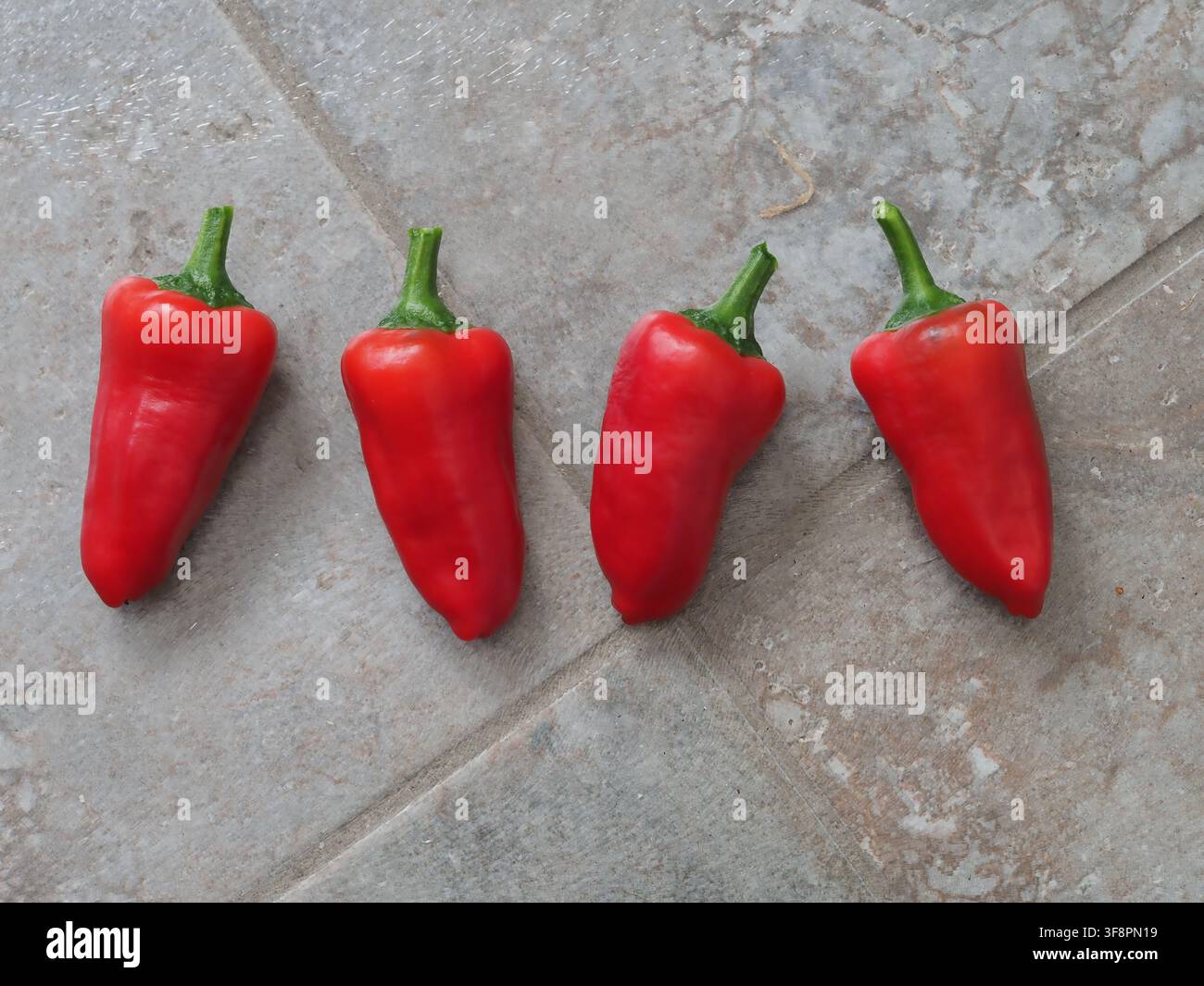 Süße rote Paprika, Sorte Lipstick, auf einem Fliesenhintergrund Stockfoto