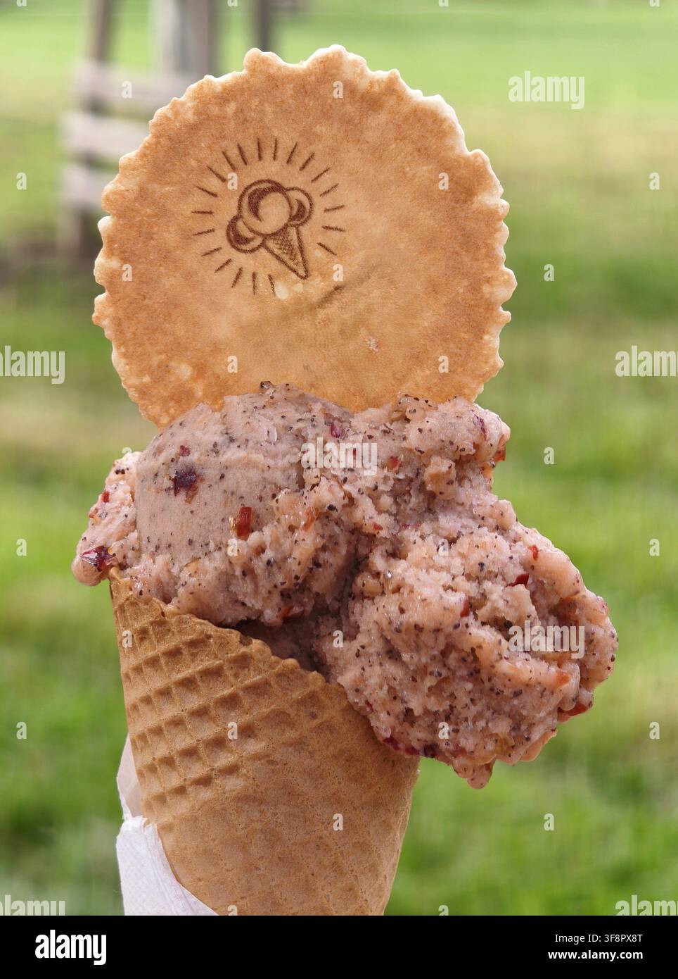 Kunsthandwerkliche Pflaumen- und Mohn Eis Kugel in einer Waffeltüte mit einem runden Waffel - Smartphone-aufgenommenes Stockfoto