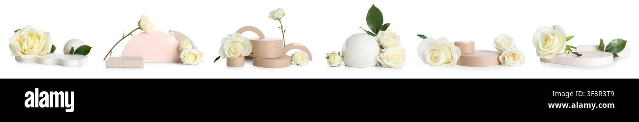Weiße Rosen mit geometrischen Podien und Sockeln, Produktpräsentation und Kosmetikpräsentationskonzept, isoliert auf weißem Hintergrund Stockfoto
