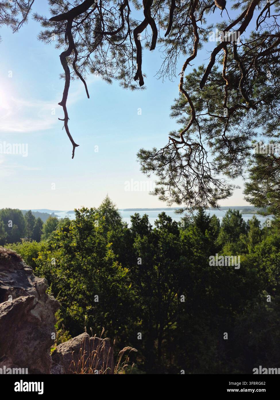 Pittoreske Sommerlandschaft aus sichtbarer felsiger Waldregion über die schwedische Landschaft - Smartphone-aufgenommenes Stockfoto