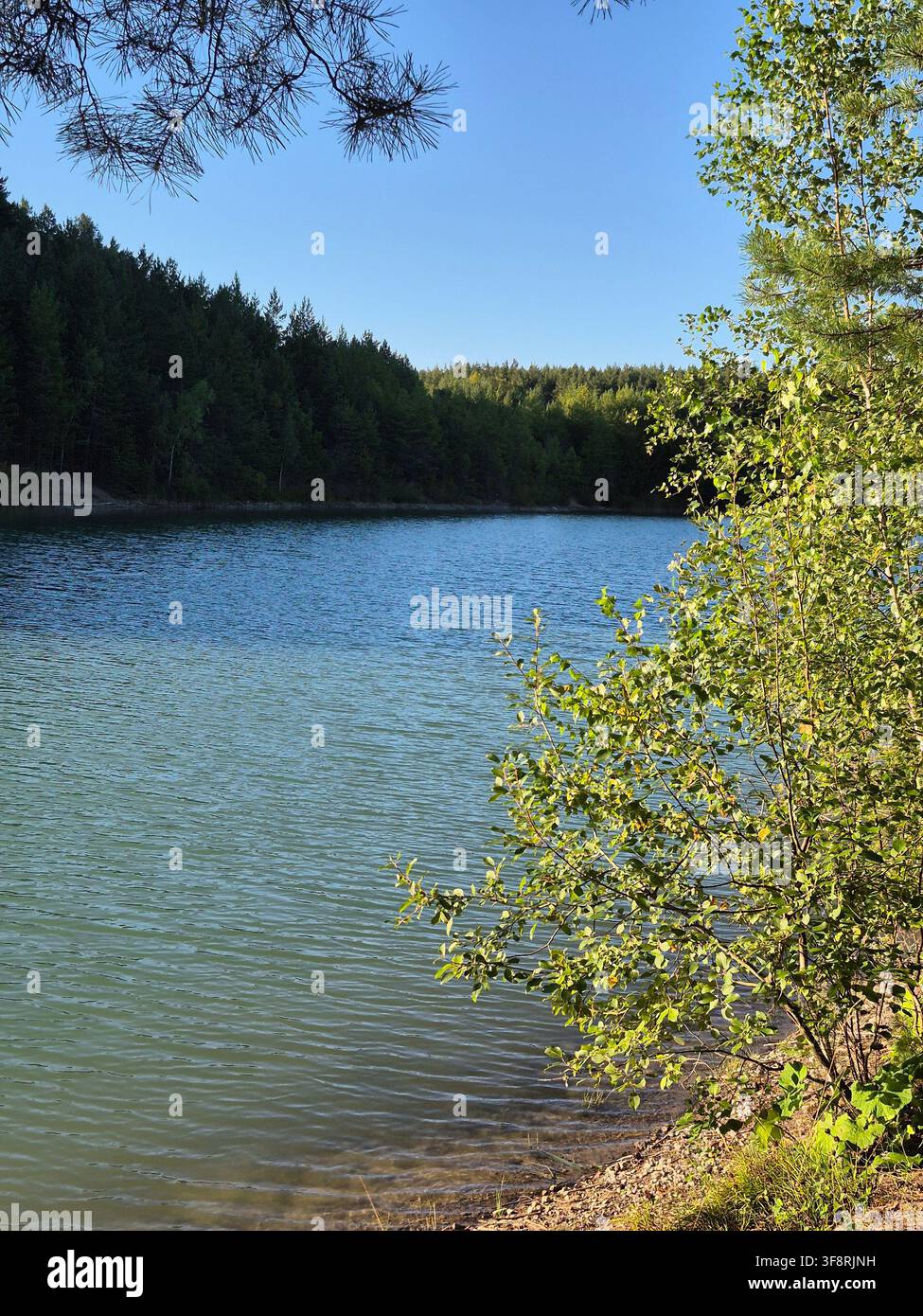 Friedlicher Blauer See, umgeben von grünem Wald und Bäumen an einem klaren Sommertag Stockfoto