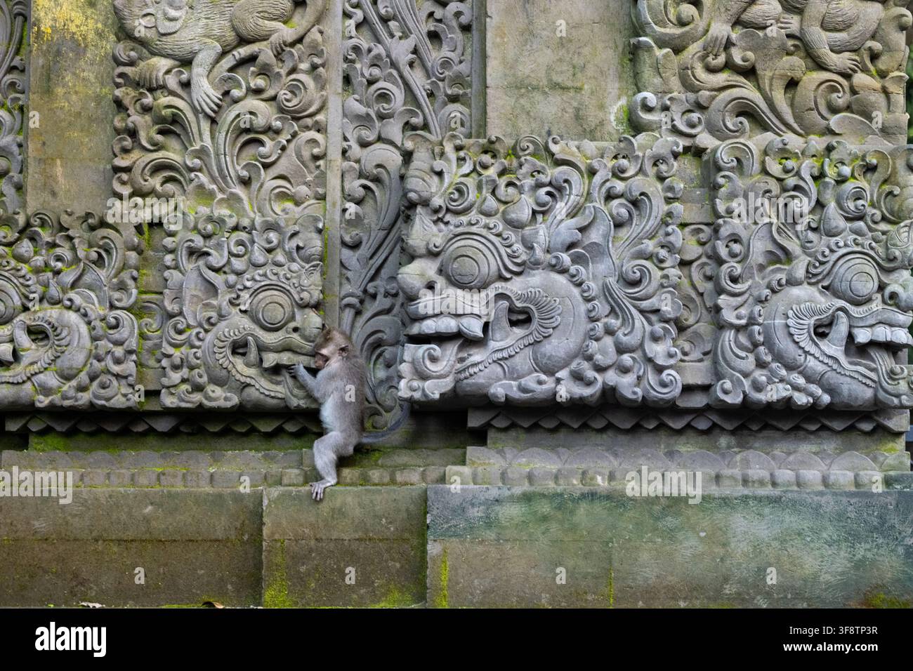 Ein junger Langschwanz-Makake klettert neben kunstvollen Steinreliefs im Affenwald von Ubud auf Bali, Indonesien. Stockfoto