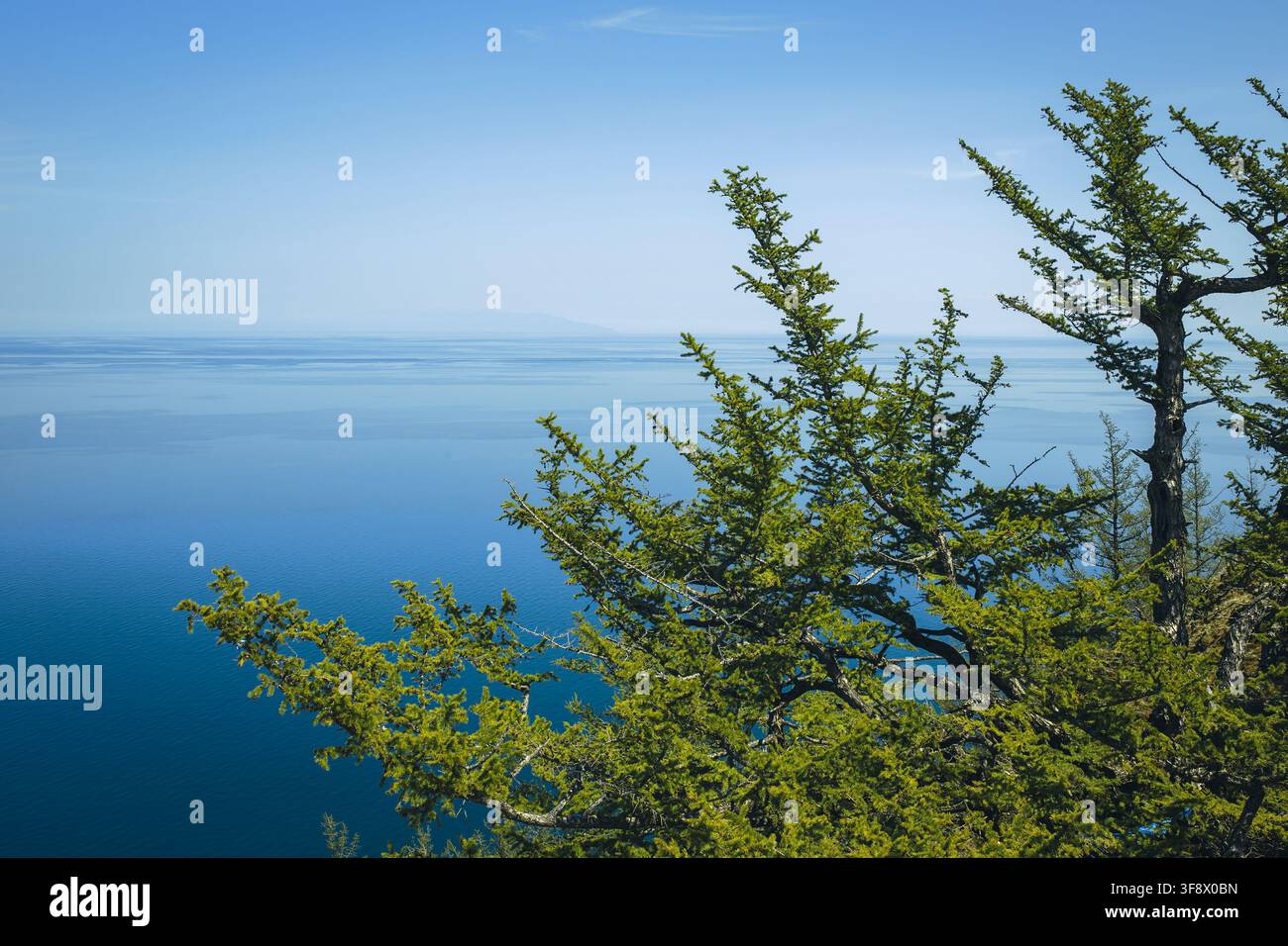 Lärchenzweige rahmen eine malerische Ansicht des Baikalsees, Sibirien, Russland Stockfoto