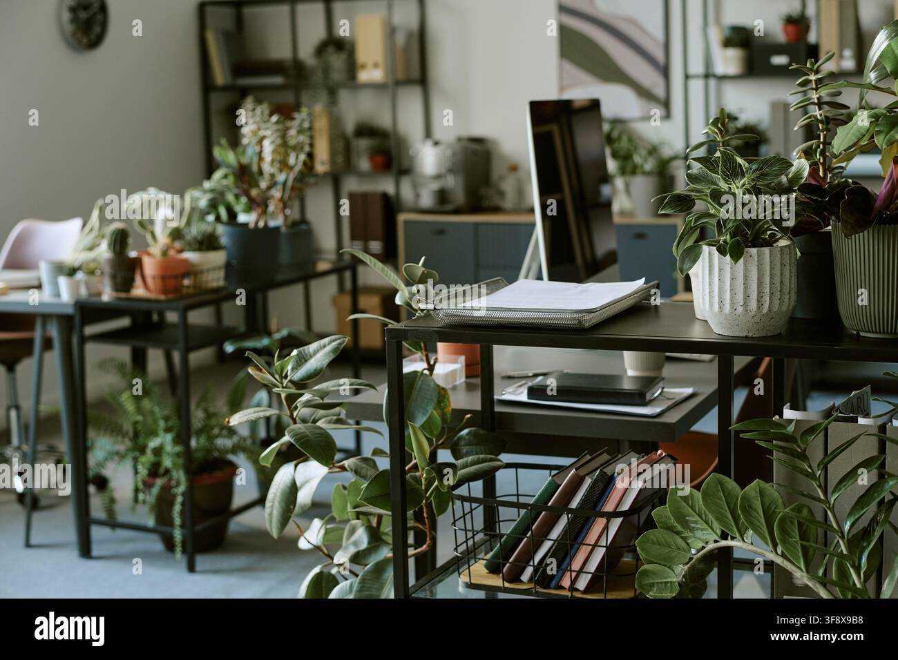 Modernes umweltfreundliches Bürointerieur mit grünen Topfpflanzen Stockfoto