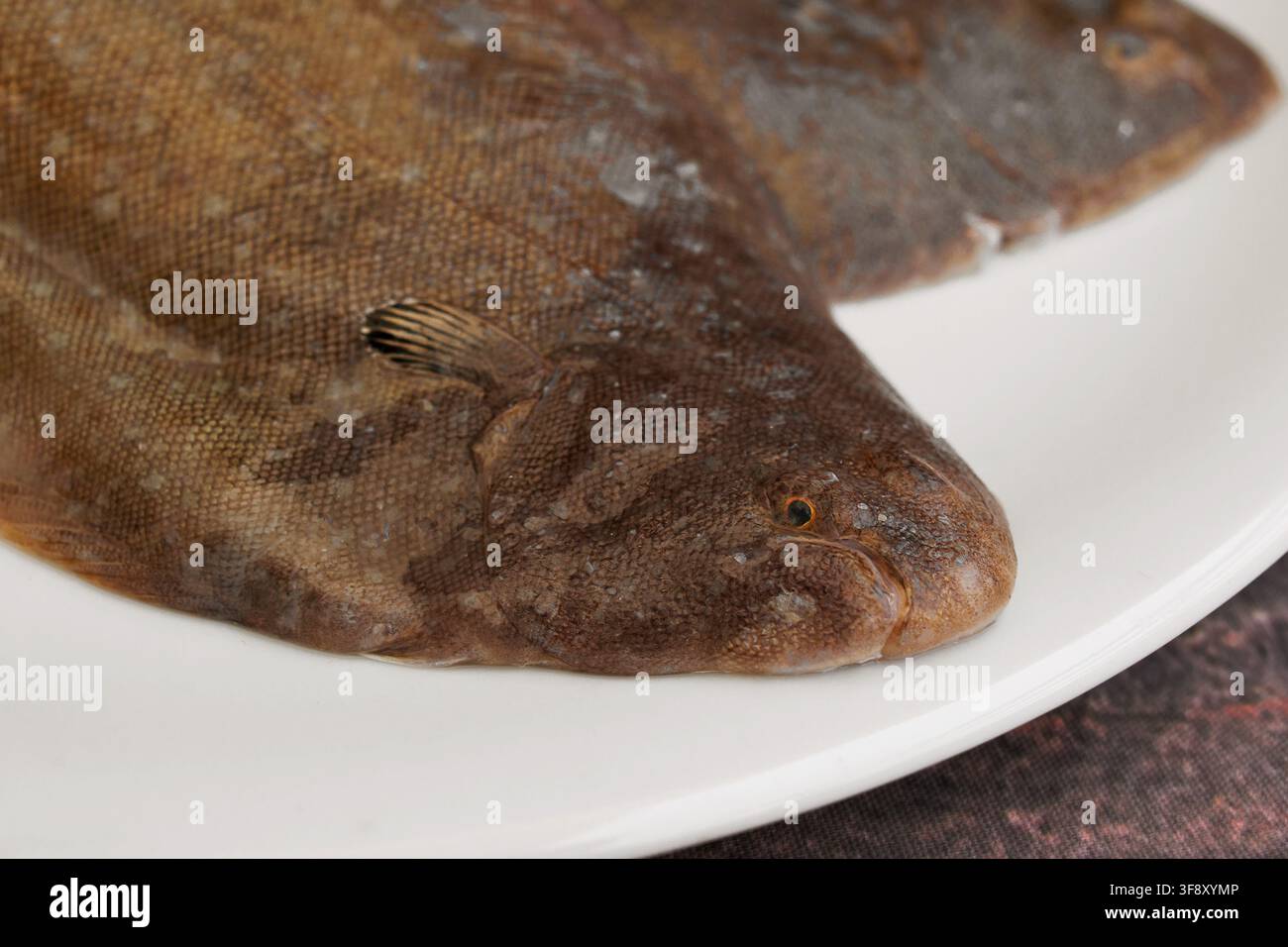 Frischer Fisch (Flunder) auf dem Teller Stockfoto