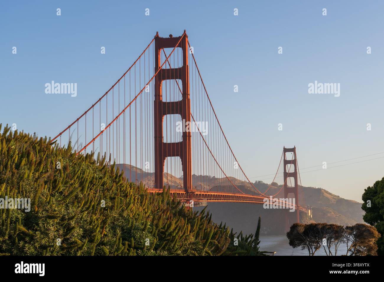 Die Türme der Golden Gate Bridge erheben sich hinter grünen Küstenhügeln unter einem weichen klaren Himmel während der goldenen Stunde in San Francisco, Kalifornien Stockfoto