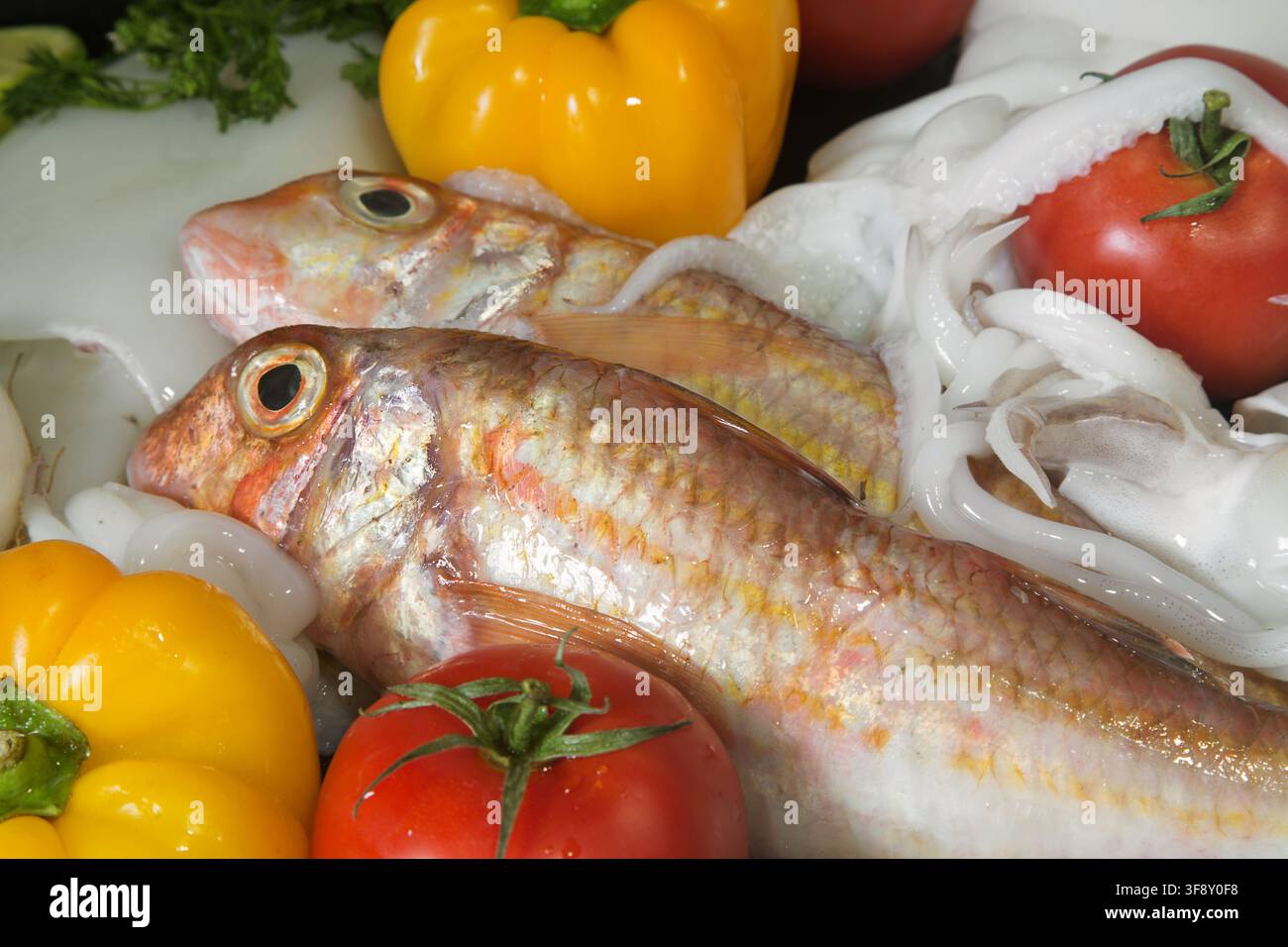 Frische Meeresfrüchte und Fisch arrangiert mit Tintenfisch, Tomaten, gelben Paprikaschoten, Knoblauch, Zwiebel, Zitrone und Kräutern, präsentiert auf einem Computerbildschirm. Mediterran Stockfoto