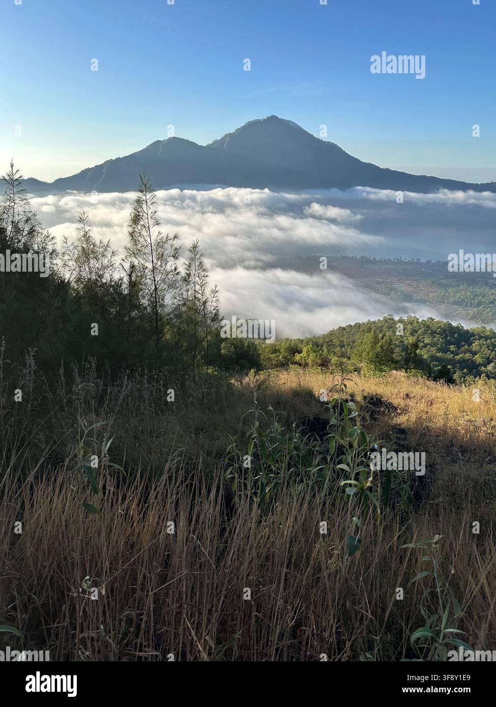 Mount Agung erhebt sich über dem Meer der Wolken bei Sonnenaufgang in Bali, Indonesien Stockfoto
