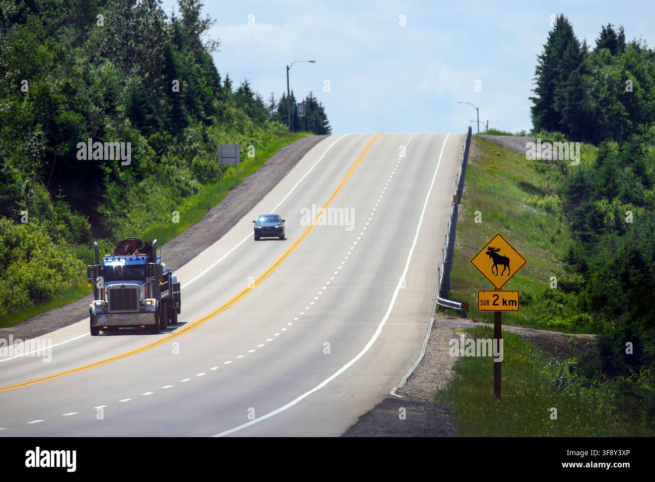 Kanadische Straße mit einem "Vorsicht vor Elchen"-Schild Stockfoto