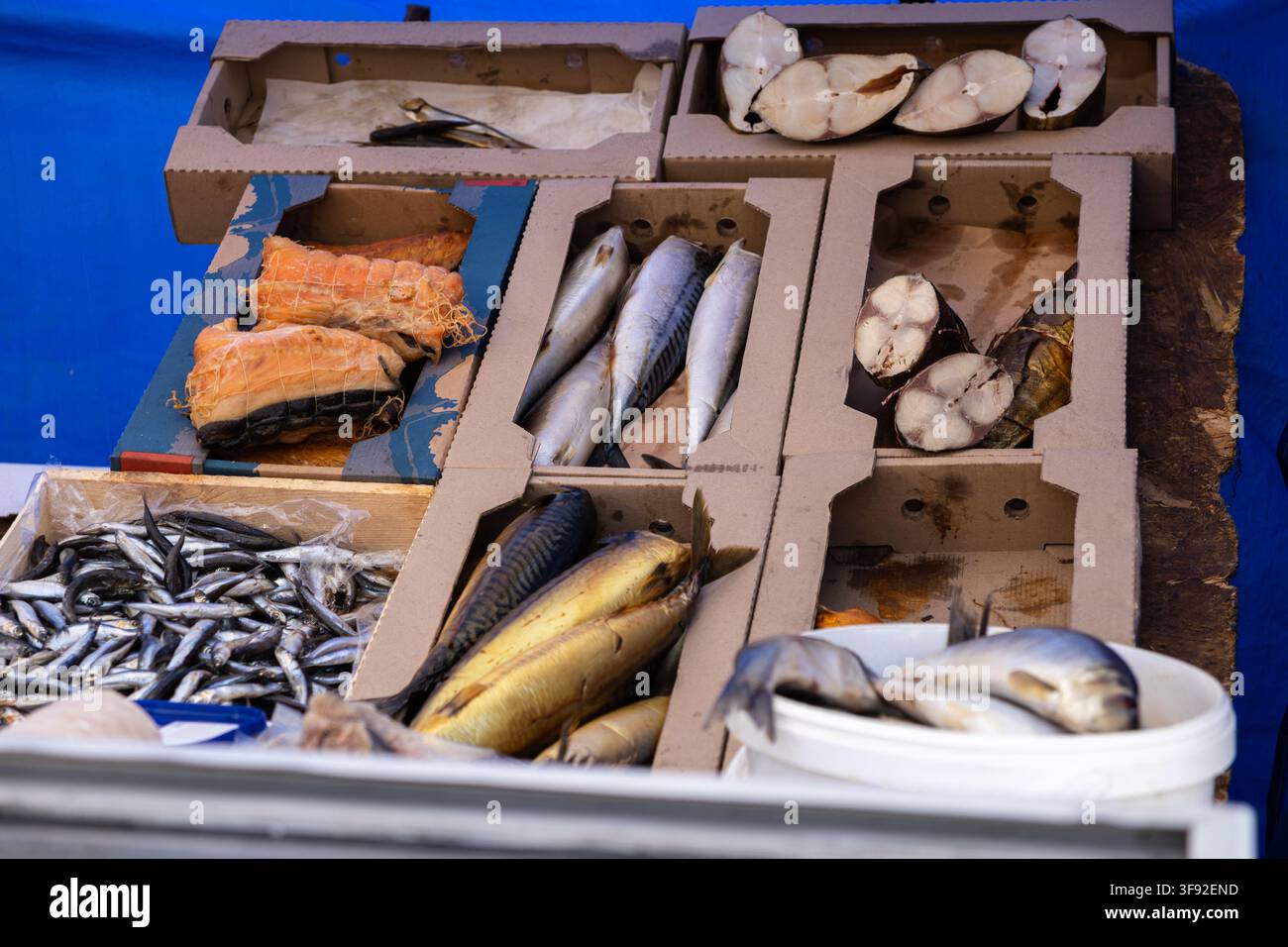 Eine Auswahl an geräuchertem Makrele, Hering und kleinen Fischen, die in Kartons auf einem Markt ausgestellt sind, zeigt frischen Fang, kulinarischen Handel und Tra Stockfoto