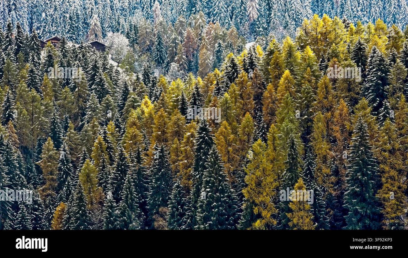 Italien, Südtirol, VAL D'ULTIMO Stockfoto