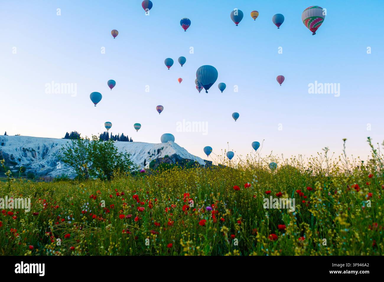 Im frühen Morgenlicht füllen farbenfrohe Heißluftballons den Himmel über Pamukkale, Türkei. Die einzigartigen weißen Travertin-Terrassen und üppige Wildblumen c Stockfoto