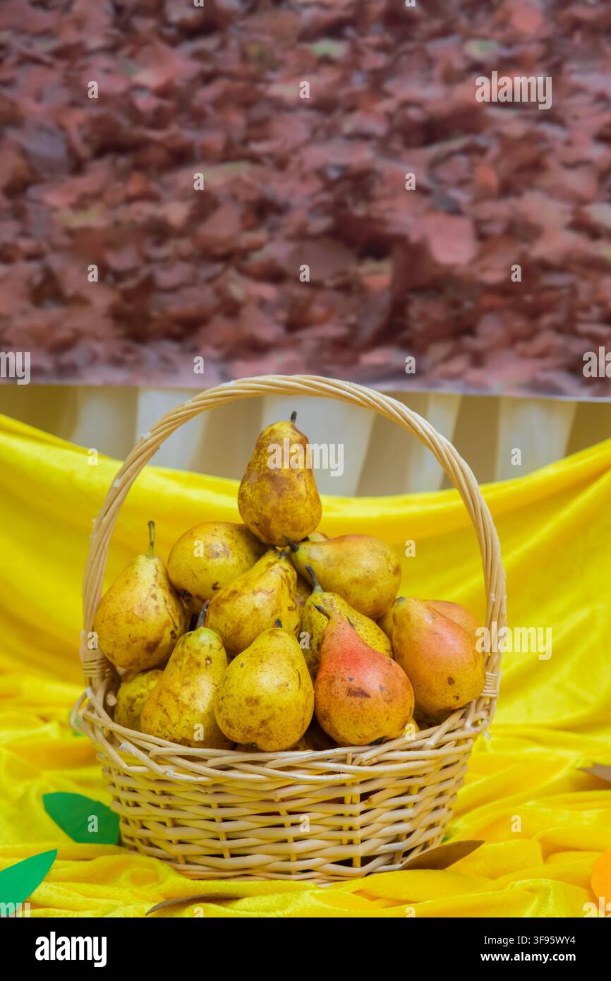 Texturierter Hintergrund aus getrockneten roten und braunen Herbstblättern. Lebendige, farbenfrohe Erntestillleben, perfekt für saisonale Dekoration. Rustikischer Weidenkorb mit Stockfoto