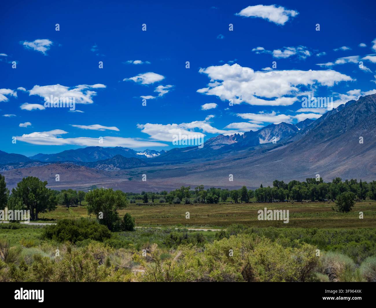 Sierra Nevada von der U.S. 395 nördlich von Bishop, Kalifornien. Stockfoto