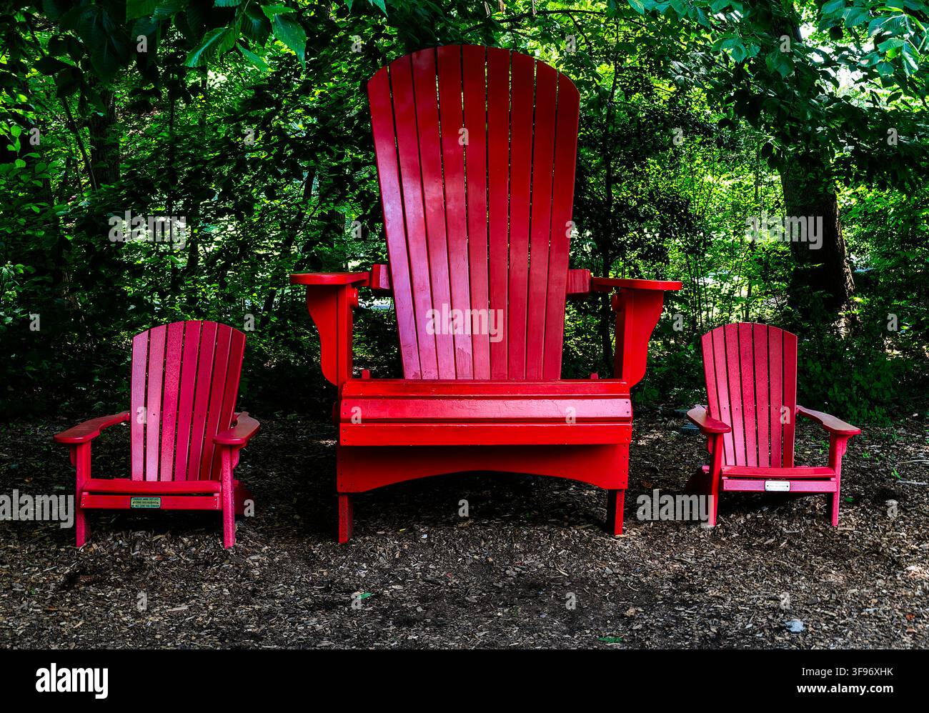 Dieser übergroße rote Holz-Adirondack-Stuhl dient als skurriler Blickfang in einer schattigen, bewaldeten Gartenumgebung, flankiert von zwei gleich großen passenden Stühlen Stockfoto