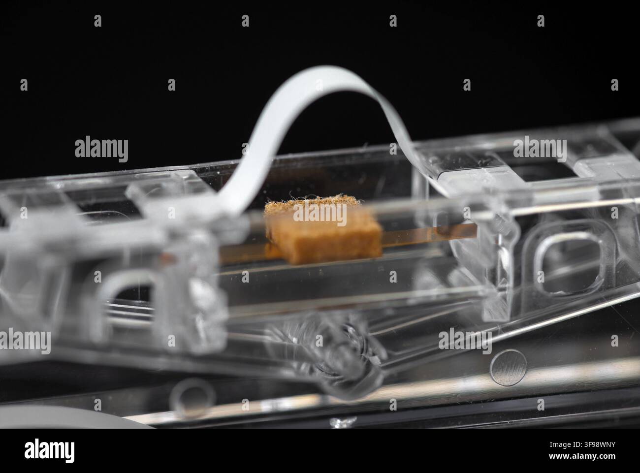 Magnetbandkopföffnung und Druckpolster Nahaufnahme der Audio-Kassette Details Stockfoto