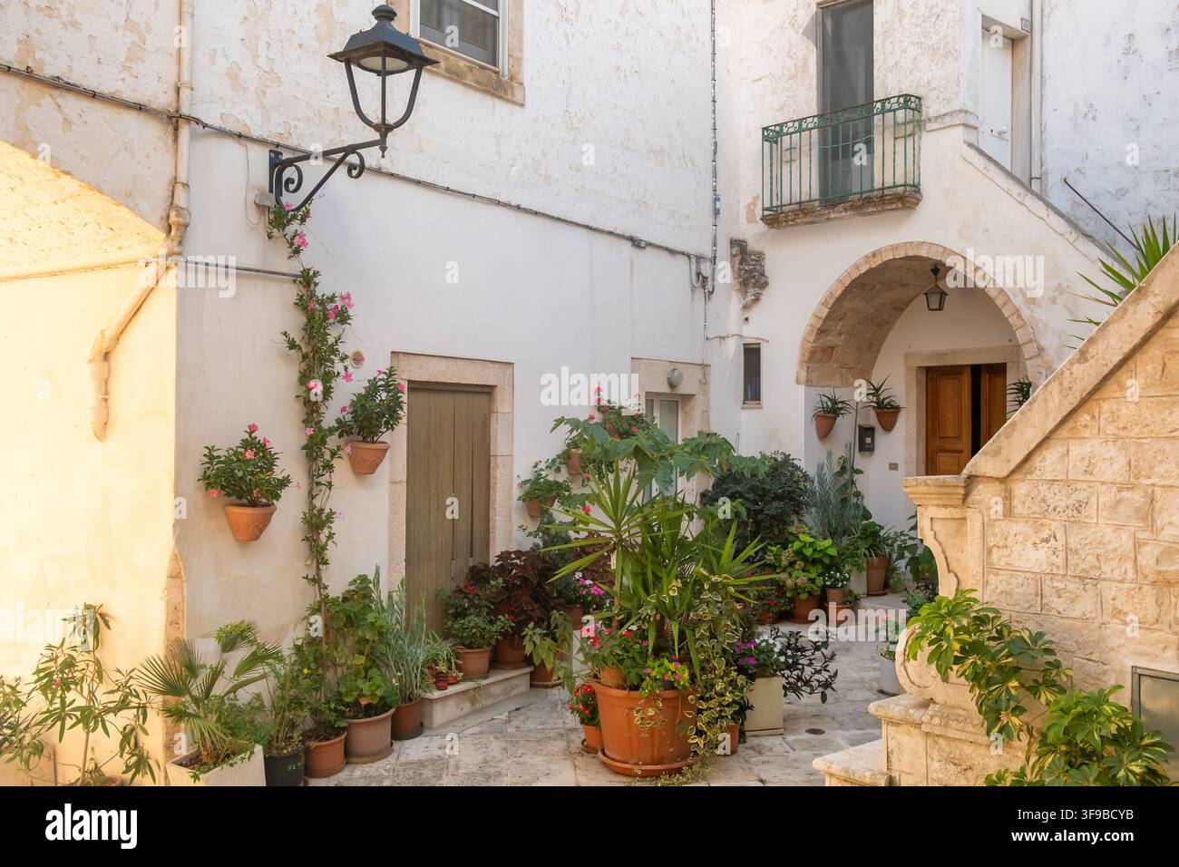 Enge Straße mit weißen Häusern in Locorotondo, Italien Stockfoto
