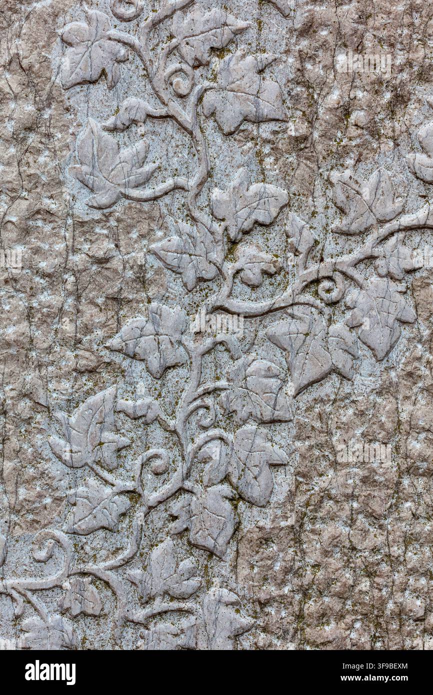 Detail eines geschnitzten Steinreliefs, das ein Efeublatt und ein Weinmuster auf einer verwitterten Wand darstellt Stockfoto