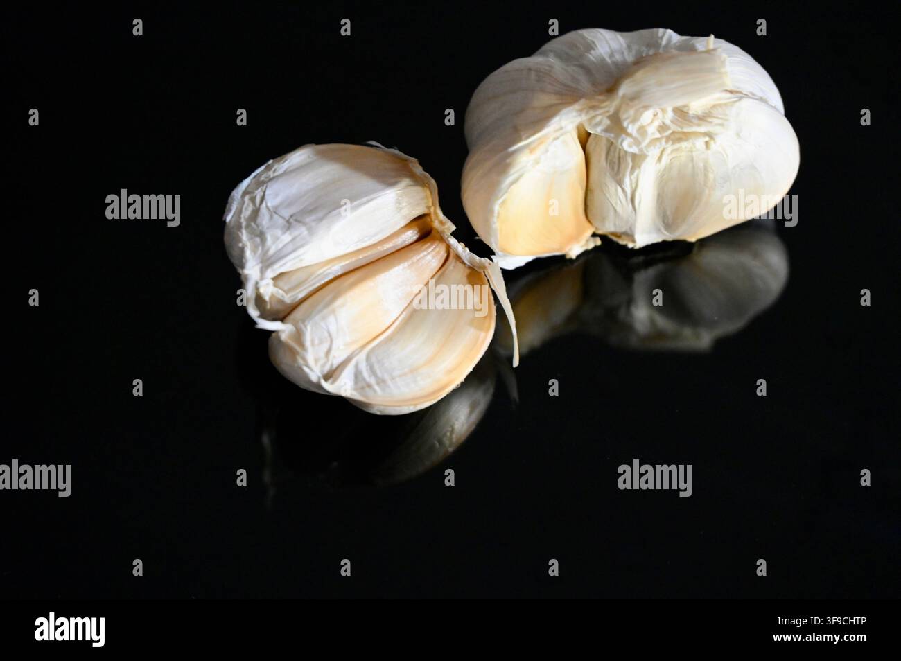 Kommerzielle Nahaufnahme von zwei frischen, ganzen geschälten weißen Knoblauchknollen in ihrer natürlichen papierartigen Schale, angeordnet auf einer spiegelglatten schwarzen Oberfläche mit sanften Reflexionen. Stockfoto