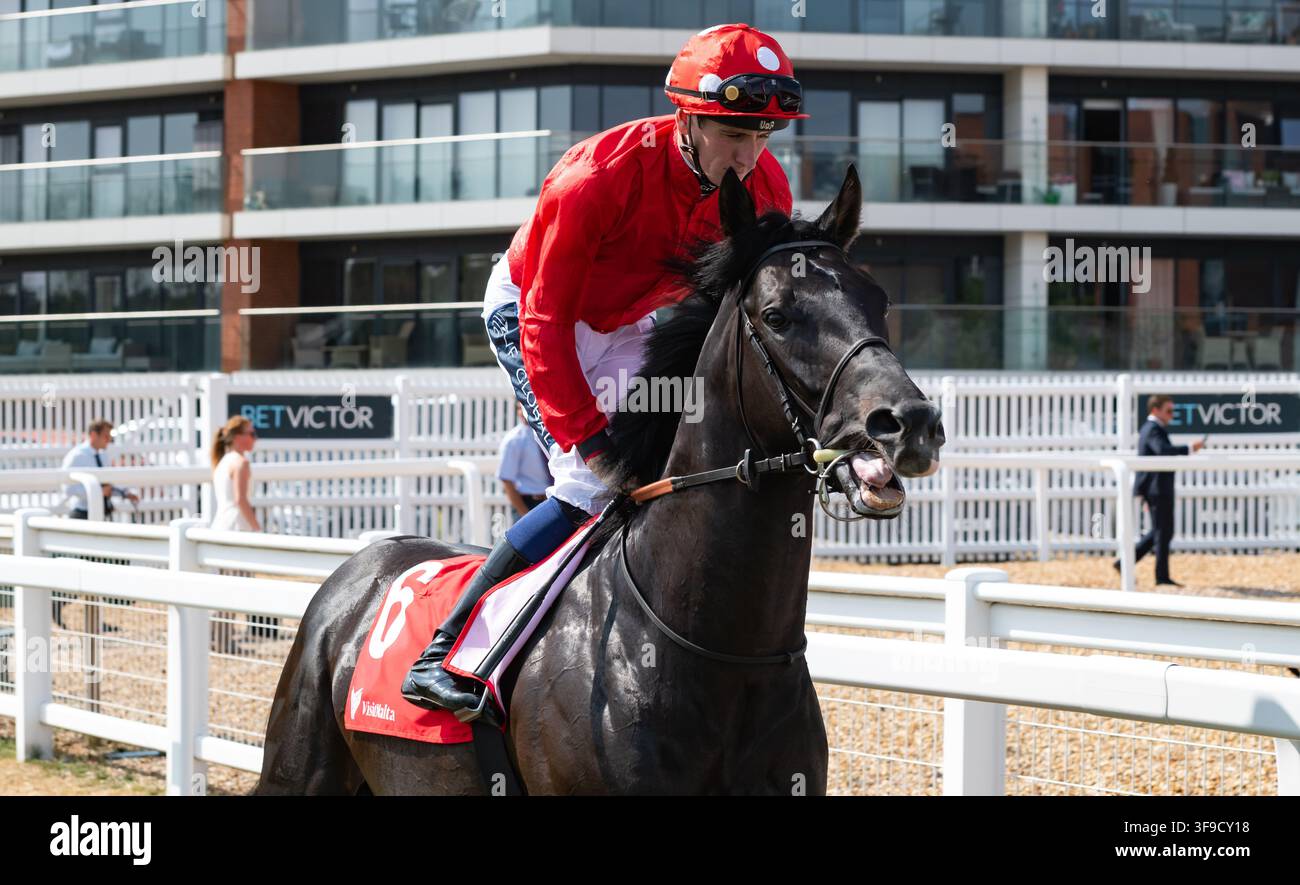 Newbury, UK, Samstag, 15. August 2026; Coppull und Jockey Hector Crouch gewinnen die Group 2 Visit Malta Hungerford Stakes für Trainer Clive Cox und Besitzer Mr David W. Armstrong. Credit JTW Equine Images / Alamy Live News. Stockfoto