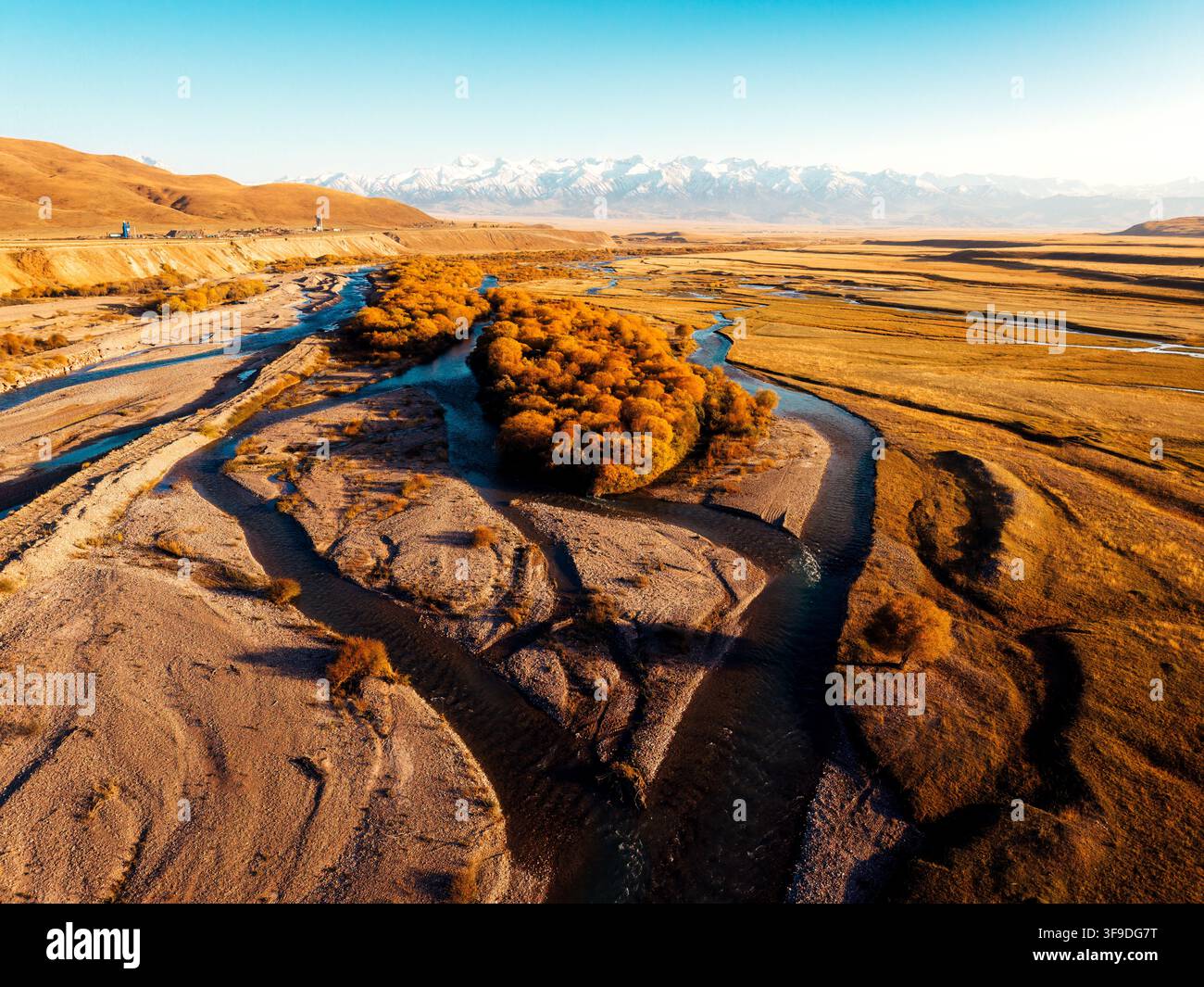 Luftaufnahme eines sich windenden Flussbaches, der durch ein goldenes Herbstfeldtal mit lebhaftem gelbem Laub und schneebedeckten Bergen unter blauem Himmel fließt Stockfoto