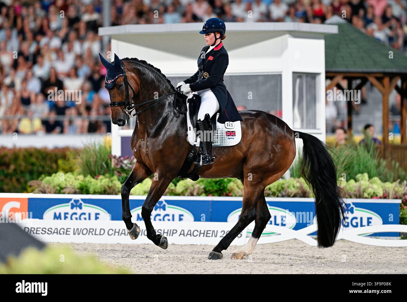 Aachen, Deutschland. 15. Aug., 2026. Reitsport: Weltmeisterschaften, Dressur, Grand Prix Freestyle. Die britische Dressurreiterin Becky Moody, auf Jagerbomb, kämpft auf der Strecke. Credit: Uwe Anspach/dpa/Alamy Live News Stockfoto
