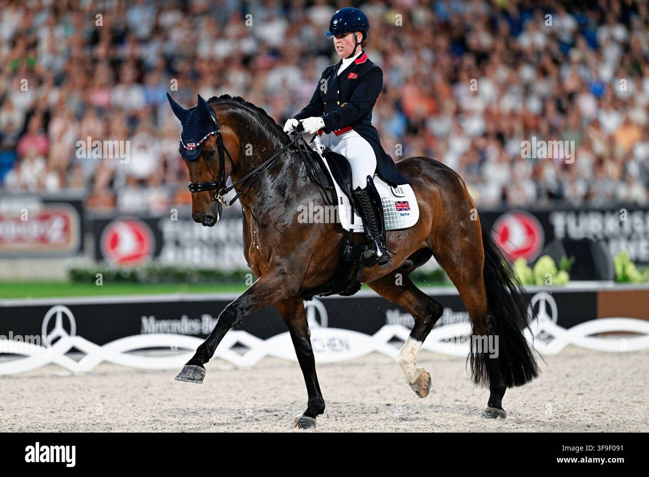 Aachen, Deutschland. 15. Aug., 2026. Reitsport: Weltmeisterschaften, Dressur, Grand Prix Freestyle. Die britische Dressurreiterin Becky Moody, auf Jagerbomb, kämpft auf der Strecke. Credit: Uwe Anspach/dpa/Alamy Live News Stockfoto
