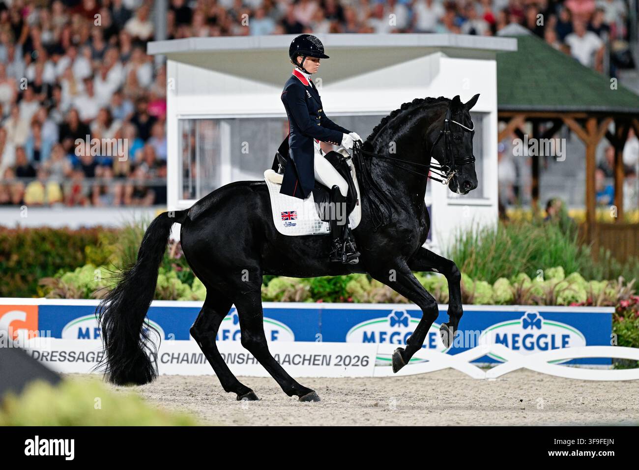 Aachen, Deutschland. 15. Aug., 2026. Pferdesport: Weltmeisterschaften, Dressur, Grand Prix Freestyle. Die britische Dressurreiterin Charlotte Fry, auf Glamourdale, kämpft auf der Bahn. Credit: Uwe Anspach/dpa/Alamy Live News Stockfoto