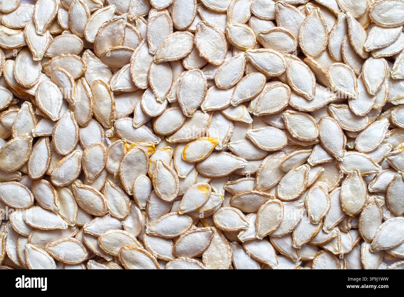 Viele Kürbiskerne. Kürbiskernstruktur. Natürliche Kürbiskerne. Stockfoto