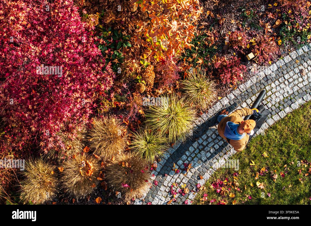 Ein Gärtner räumt im Herbst Blätter in einem Garten. Die Szene zeigt lebendige Blätter in Rot-, Orange- und Gelbtönen. Der Gärtner arbeitet Stockfoto