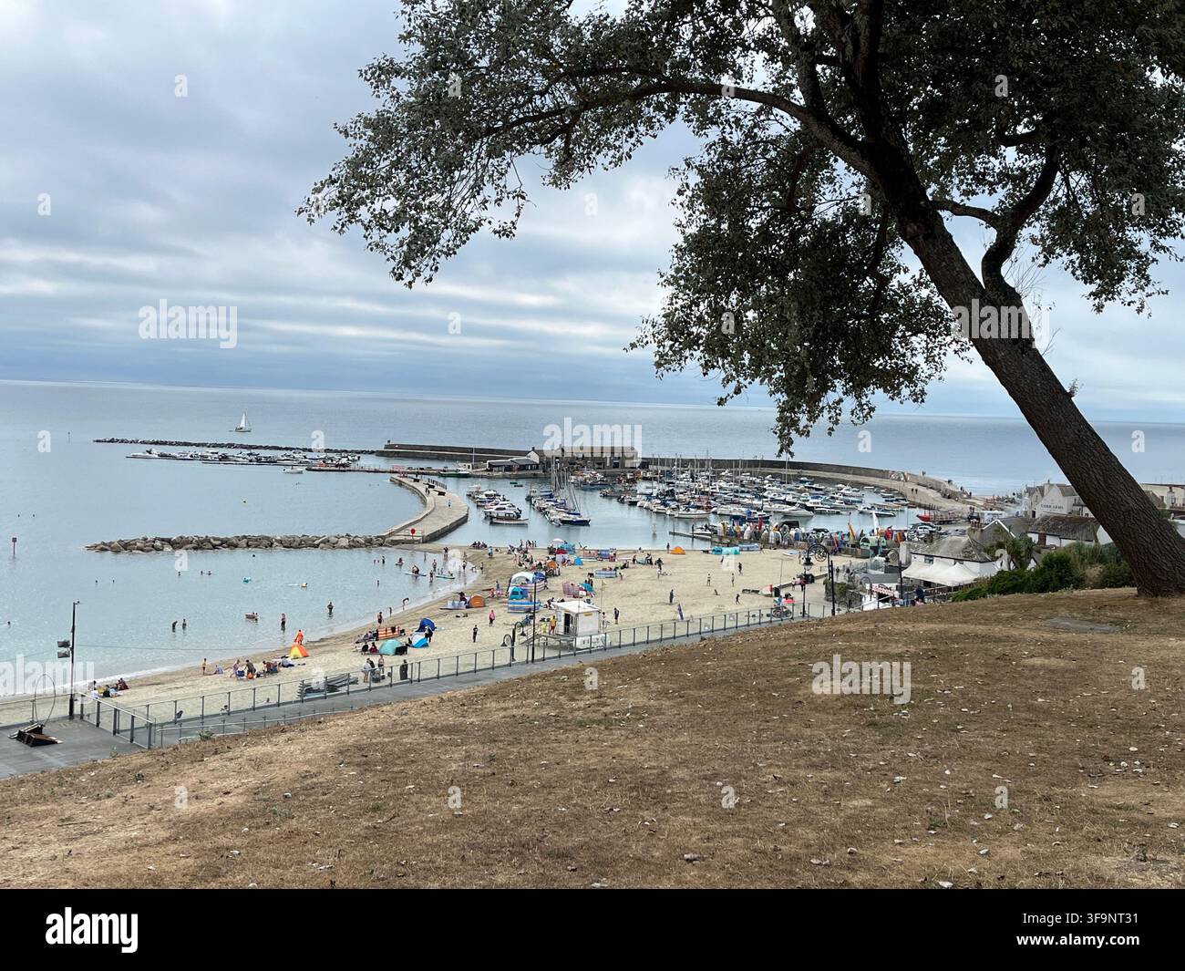 Blick in Richtung Lyme Regis Hafen, Dorset, England, UK. - Smartphone-aufgenommenes Stockfoto