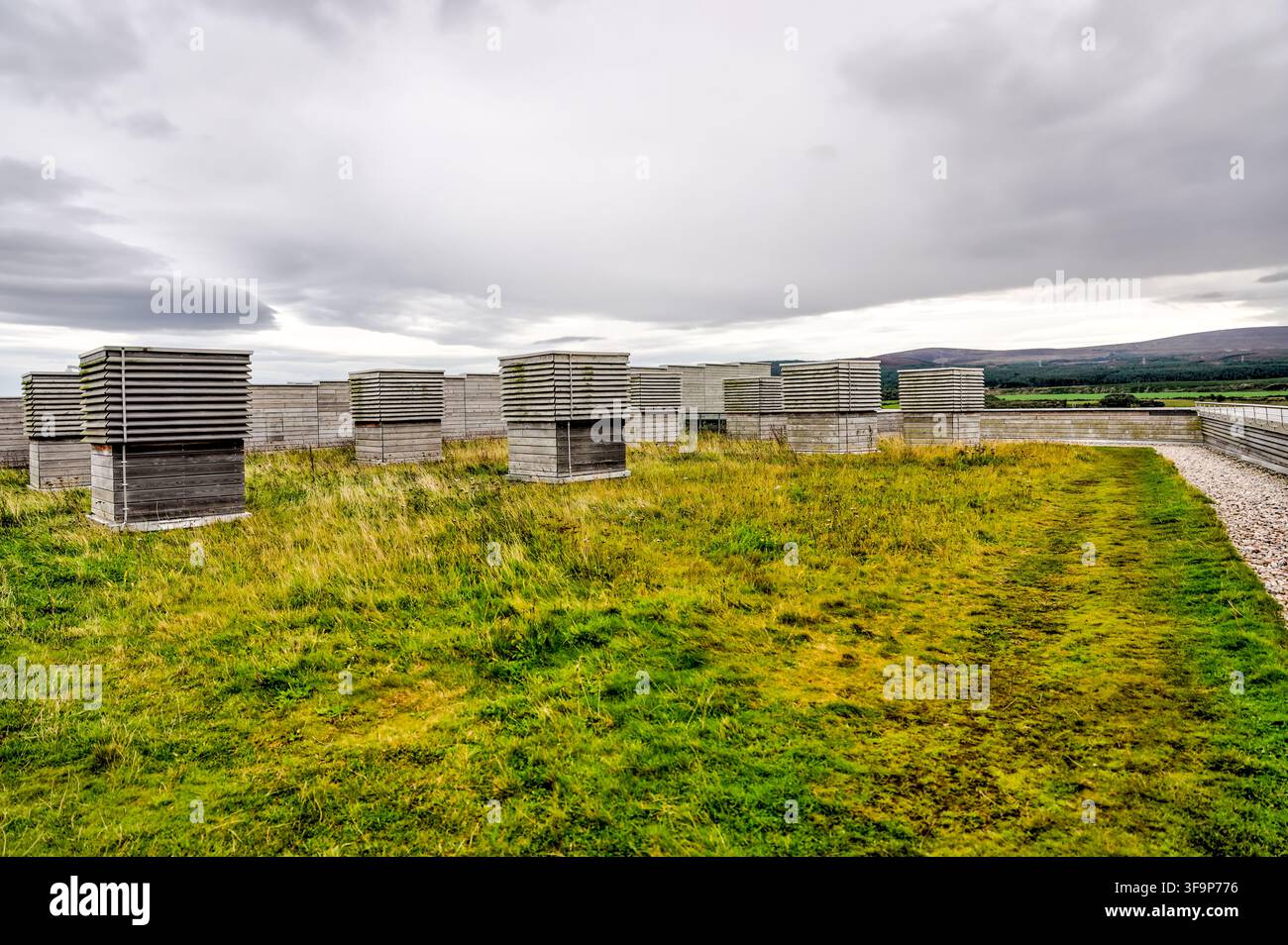 Bienenstöcke auf dem Dach des Museums des Culloden-Schlachtfeldes, Ort der letzten Schlacht des Jakobitenaufstandes in der Nähe von Inverness. Stockfoto