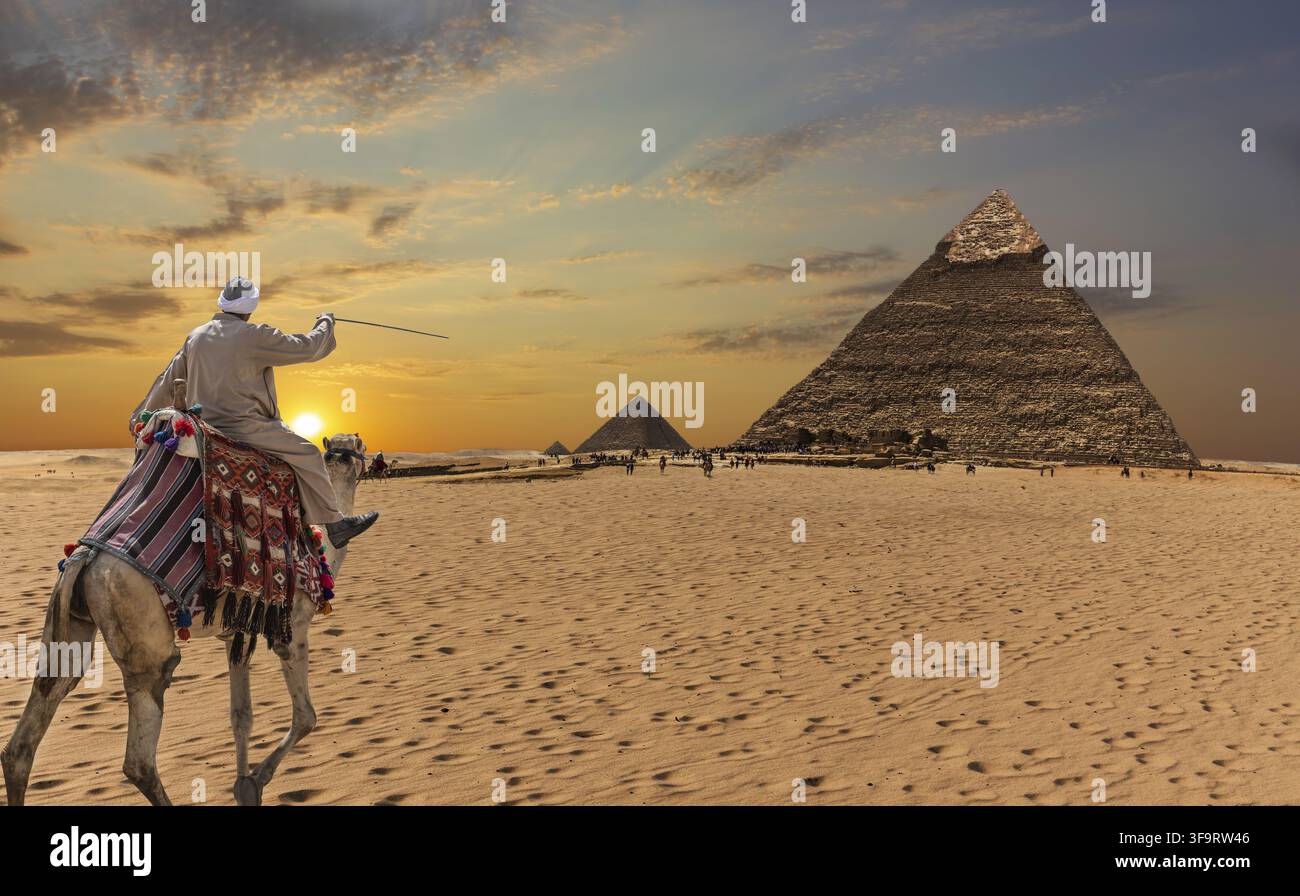 Ein beduine auf einem Kamel vor den Pyramiden von Gizeh Stockfoto