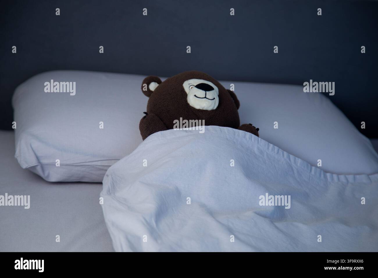 Oberblick auf ein Bett mit grauer Bettwäsche, in dem ein brauner Teddybär liegt, zugedeckt mit einer Decke, sein Stockfoto