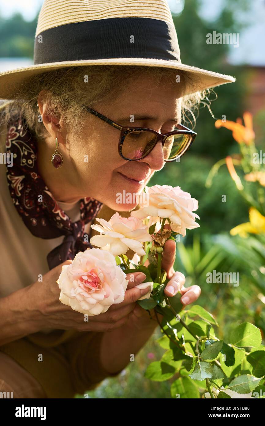 Seniorin riecht rosa Rosen im Garten Stockfoto