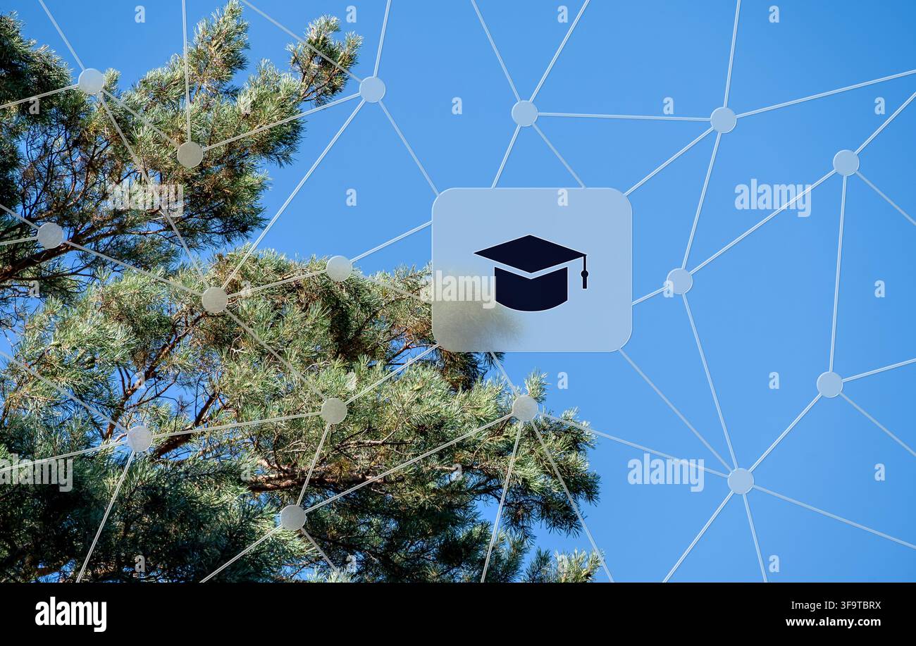 Umweltbildungskonzept, das eine Abschlusskappe als Symbol über einer Kiefer gegen einen hellblauen Himmel zeigt. Stockfoto
