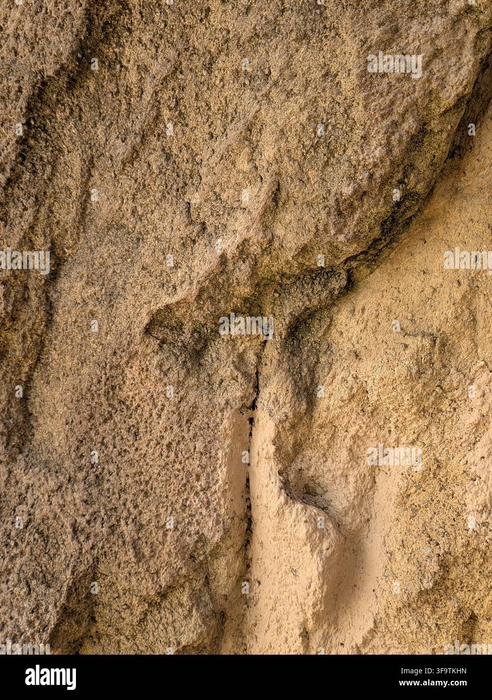 Fußabdrücke im Sand eingebettete Fußabdrücke, am Strand oder in sandigen Bereichen, mit Fußabdrücken, Sand, aus einer Nahaufnahme-Perspektive, mit braunen, hellbraunen Akzenten Stockfoto