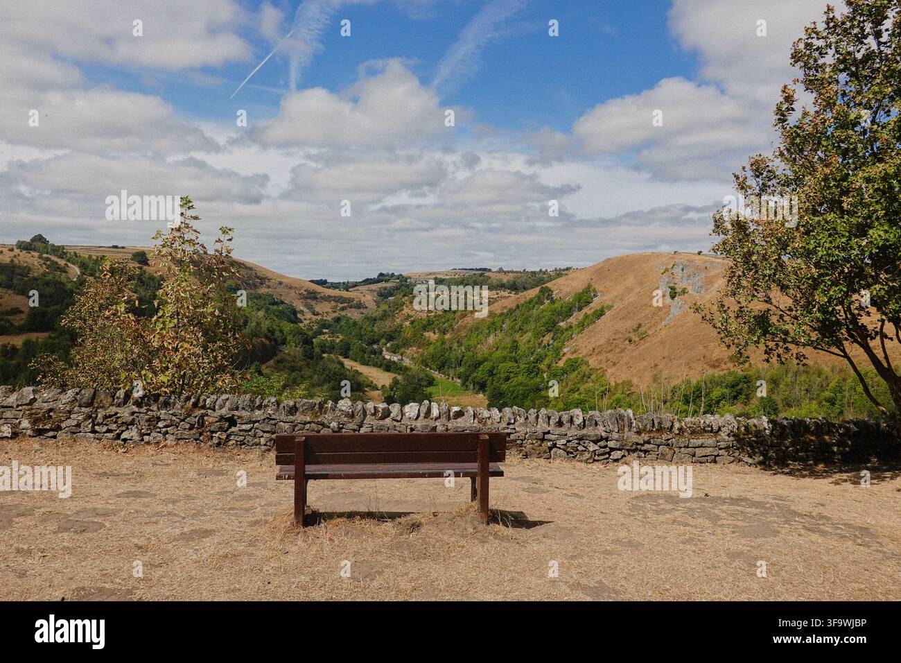 Eine leere Holzbank mit Blick auf die malerische Panoramablick auf das Monsal Dale Tal von Monsal Head aus, Peak District Nationalpark, Derbyshire, UK. Stockfoto