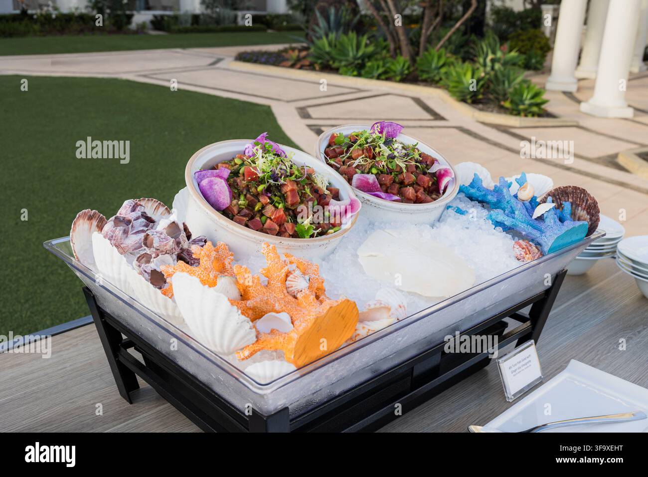 Thunfisch-Poke-Schüsseln auf Eis bei einer Veranstaltung im Freien Stockfoto